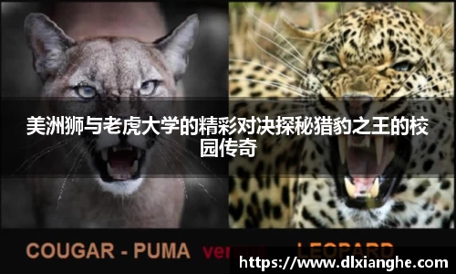 J9.COM·(中国区)官方网站